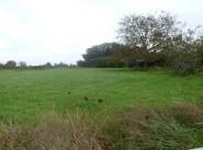 Development site Deneze Sous Le Lude