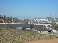 Purchase sale Brissac Quince