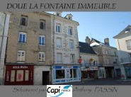 Purchase sale building Doue La Fontaine