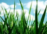 Purchase sale development site Louresse Rochemenier