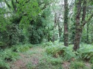 Purchase sale development site Soullans